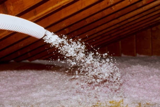 Best Commercial Insulation in Lucedale, MS
