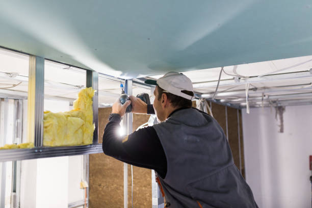 Best Residential Insulation in Lucedale, MS