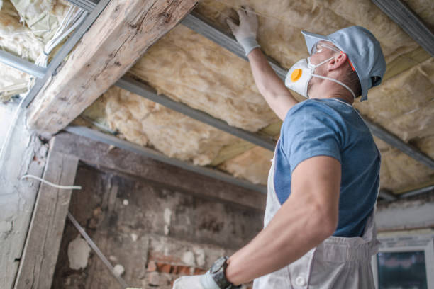 Best Insulation for Specific Applications in Lucedale, MS