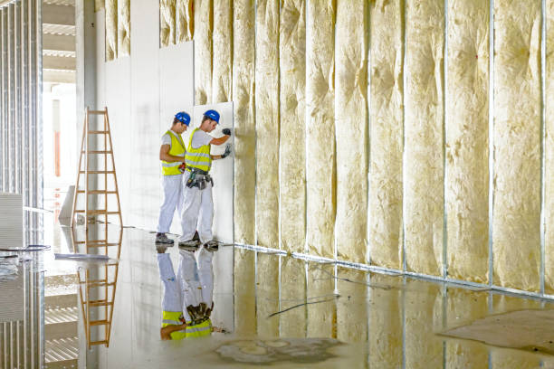 Best Types of Insulation in Lucedale, MS